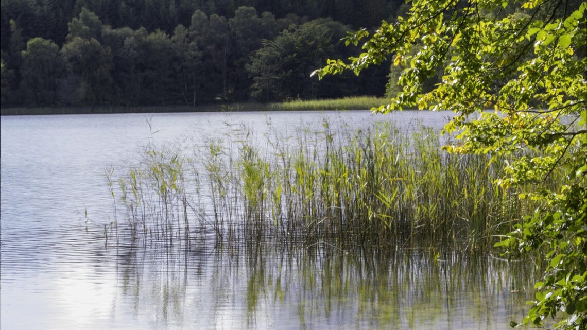 Smykker med sjæl: Gaver der sætter spor i hjertet